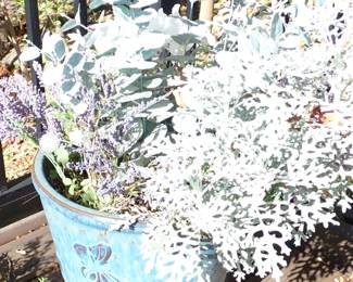 BLUE POT
