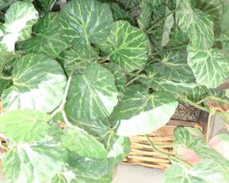 FAUX PLANTS