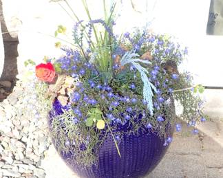 BLUE POT PLANT