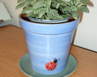 PLANT