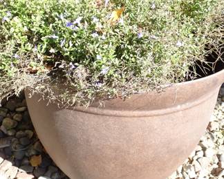 BROWN PLANTER