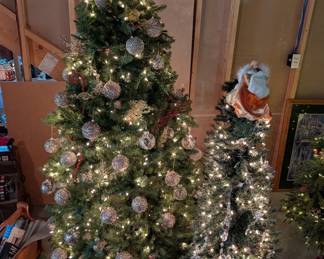 Christmas Trees, Lighted