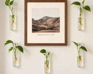 Modern Floating Clear Glass Vase Set (5) Wall Mounted Glass Test Tubes, & Studio McGee Iceland Landscape Print
