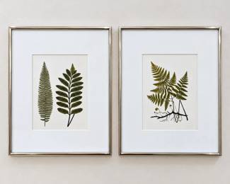 Symmetrical Framed Fern Prints