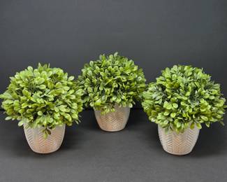 B Lot #82 - Set of 3 Artificial Boxwood Topiary Plants in White Ceramic Planters - 8" Tall