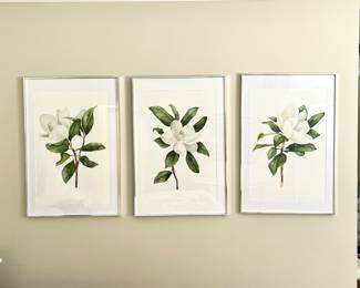 Set Of 3 Framed Magnolia Botanical Prints in Polished Silver Frames 24x36