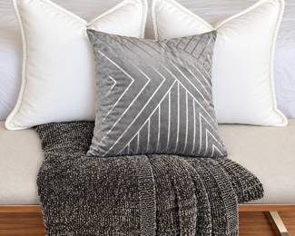Set of 3 Decorative Pillows and West Elm Throw Blanket