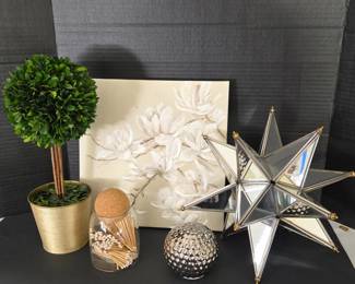Contemporary Decorative Accents – Mirrored Star, Topiary, Floral Canvas & More – 5 Pieces