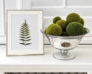Decorative Faux Green Moss Balls in Vintage Style Silver Mercury Glass Pedestal Bowl- Framed Botanical Print