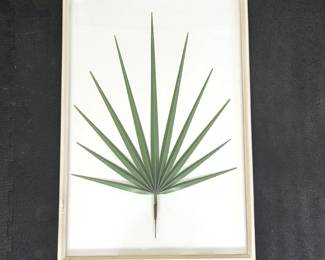 Framed Botanical Palm Leaf Wall Art – 19.5" x 28.5"