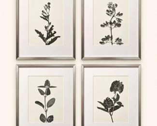 Four Botanical Prints in Silver Frames