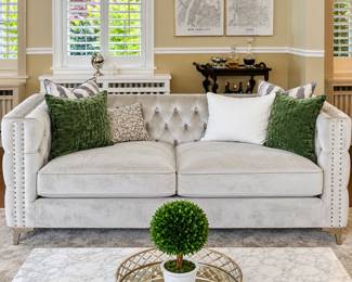 LR Lot #1 -Home Design Da Vinci 85-in Modern Silver Velvet 2-seater Sofa