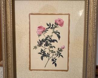 Pierre-Joseph Redouté Rose Botanical Print