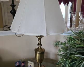 Brass-base table lamp with white shade and plants