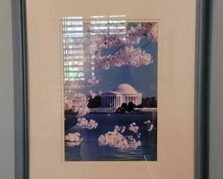 Jefferson Memorial Cherry Blossoms Framed Photograph