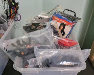 Halloween Costume and Decor Lot