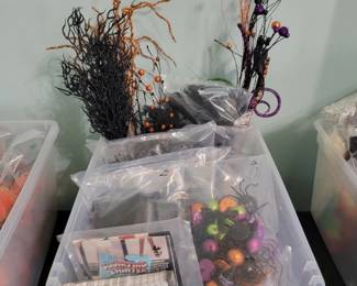 Assorted Halloween Decorative and Costume Accessory Lot