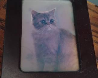 Derick Bown Cat Music Box