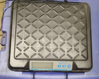 Salter Brecknell GP Shipping Scale