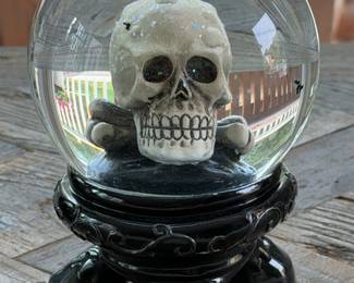Skeleton globe