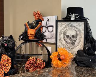 Halloween hats, bird cage