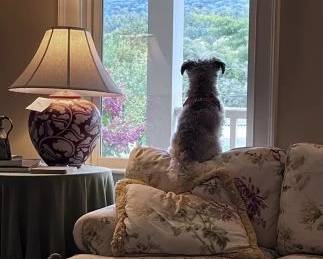 waiting for your arrival