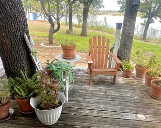 You'll wet your plants over these!