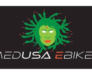  $2950 E-Bikes, Logo, and Website
