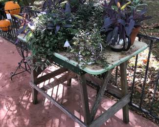 Healthy, easy care houseplants.
