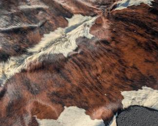 Vintage Cow Hide Rug from Uruguay 