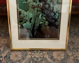 Framed Botanical Photography Print - Indian Pipe and Pinecone by Michael Loomis Signed