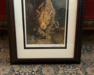 Andrew Bone Framed Leopard Wildlife Art Print with COA