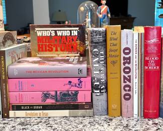 Mexican Revolution History Books