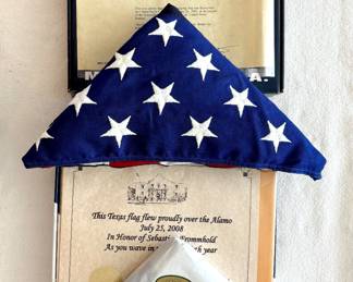 U.S. Capitol and Texas Alamo Flown Flags