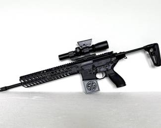 Sig Sauer MCX 300 BLK with Burris 1-4X24