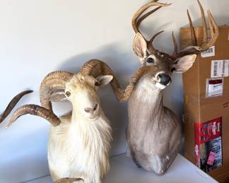 Wall Mounts