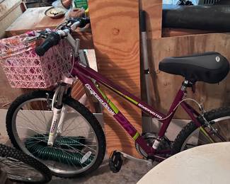 Roadmaster bike