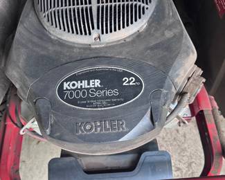 Killer 7000 series 22hp motor on the mower
