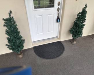2 decorative trees in pots