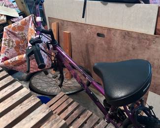 Bicycle