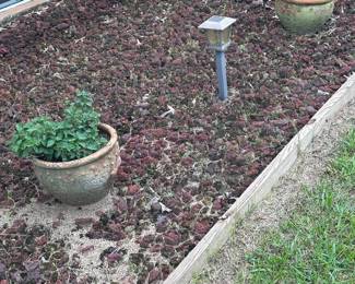 Pottery and plants