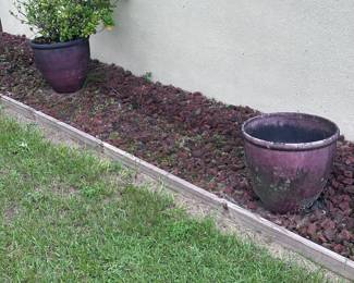 Pottery and plants 