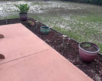 Pottery and plants