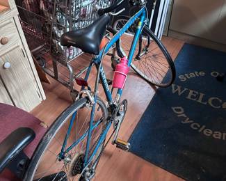 Schwinn bicycle