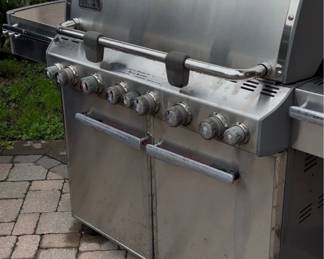 Weber Stainless Gas Grill