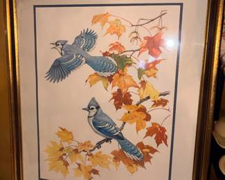 Signed & Numbered “The Blue Jay ” By Albert Earl Gilbert 1976 Yves Beaujard Master Engraver !