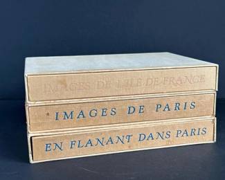 019 imagesdeparisenflanantdansparisim