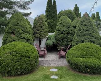 Adirondack Chairs