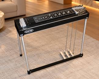 Carter Starter Pedal Steel Guitar