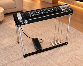 Black Carter Pedal Steel Guitar in Living Room